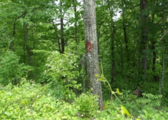 Property at 0 Rock Springs Rd, Celina, TN 38551
