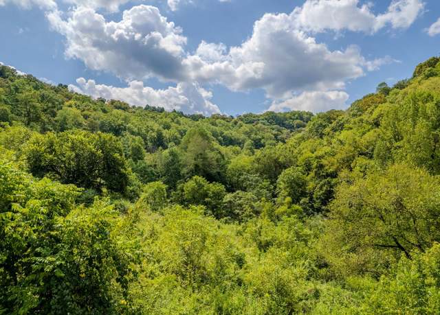 Property at 0 Watts Hollow Rd, Buffalo Valley, TN 38548