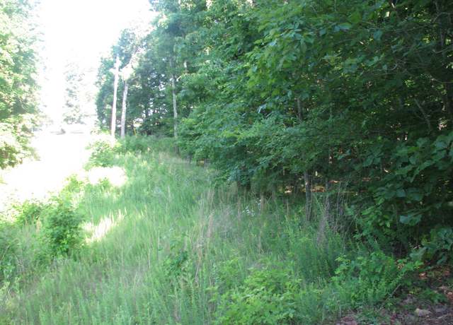 Property at 0 Big Richland Dr, Waverly, TN 37185