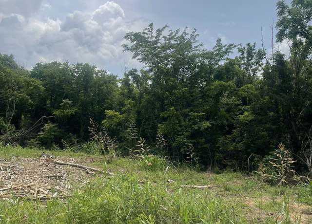 Property at 114 Fairview Ave, Cornersville, TN 37047