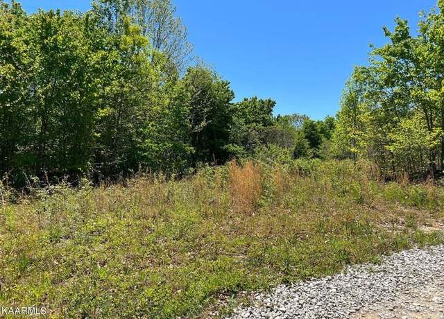 Property at 0 Mccartt Ridge Ln, Sunbright, TN 37872