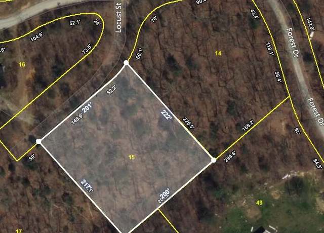Property at 0 Locust St, Spring City, TN 37381