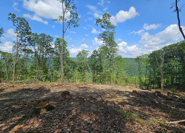 Property at 11 Higgenbotham Tpke, Altamont, TN 37301