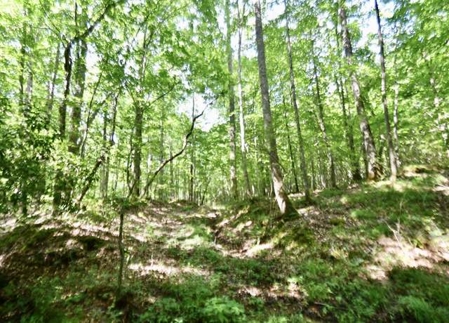Property at 0 Allens Creek Rd, Hohenwald, TN 38462