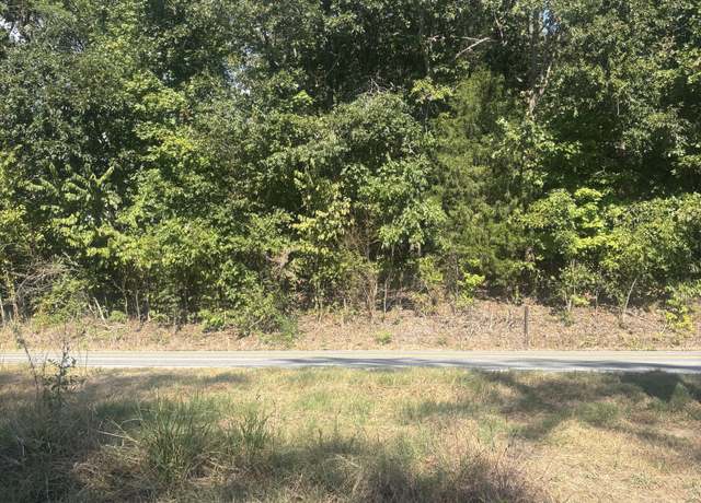 Property at 0 Hwy 48 N, Cumberland Furnace, TN 37051