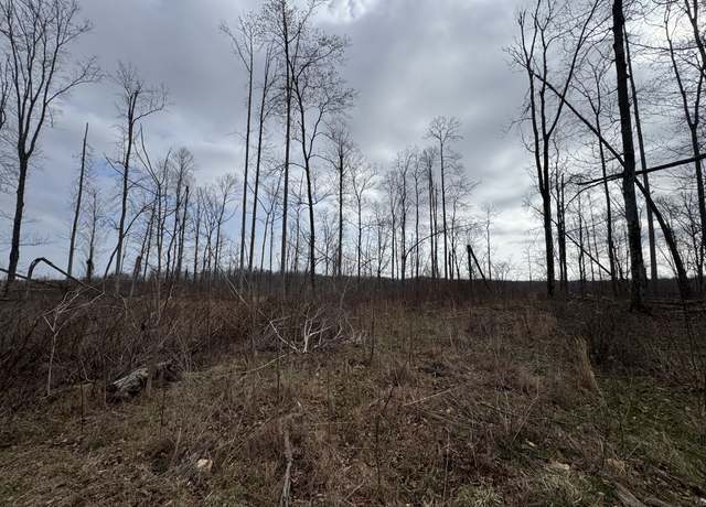 Property at 0 S Peninsula Edge Dr, Smithville, TN 37166