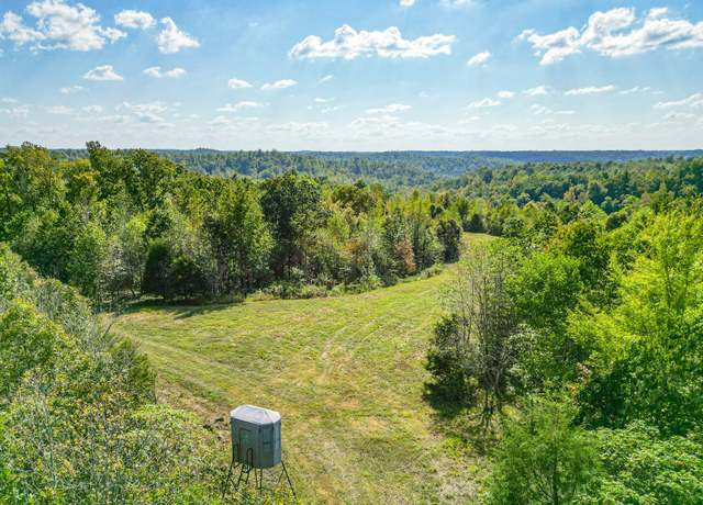 Property at 0 Treadwell Prong Rd, Linden, TN 37096