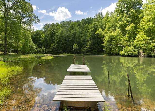 Property at 320 Dyestone Springs Rd, Hohenwald, TN 38462