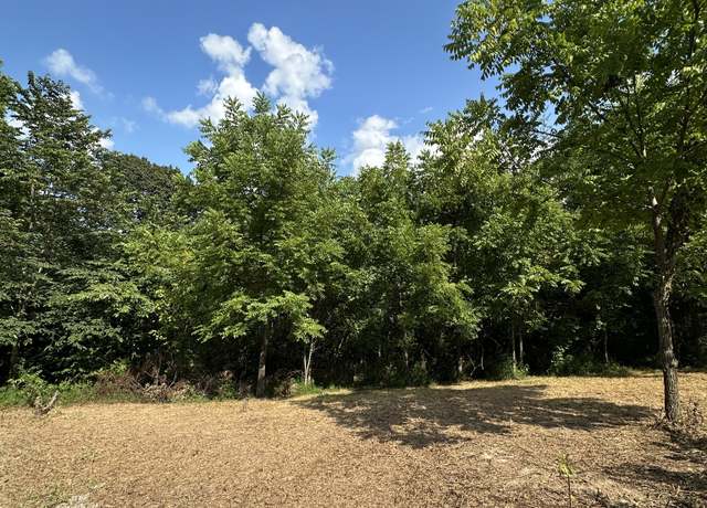 Property at 0 Rustling Oaks Ct, Pleasant View, TN 37146