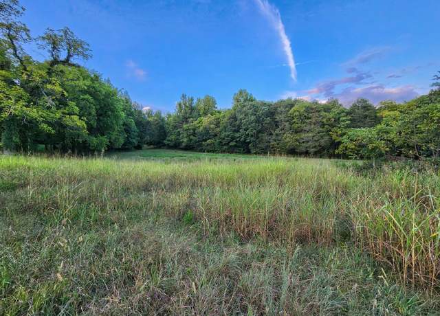 Property at 8000 Beech Creek Rd, Clifton, TN 38425