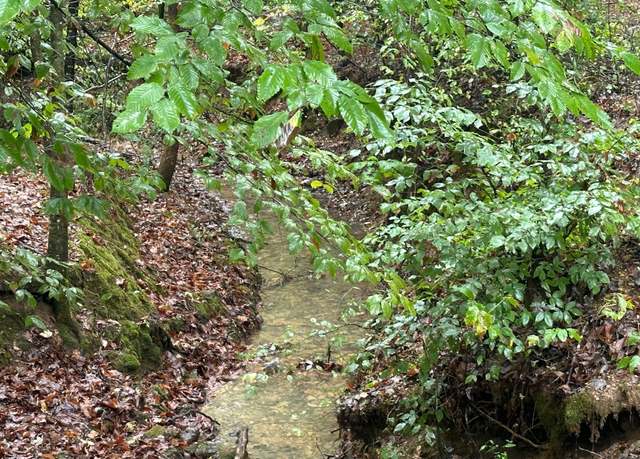 Property at 0 Cave Branch Rd, Dickson, TN 37055