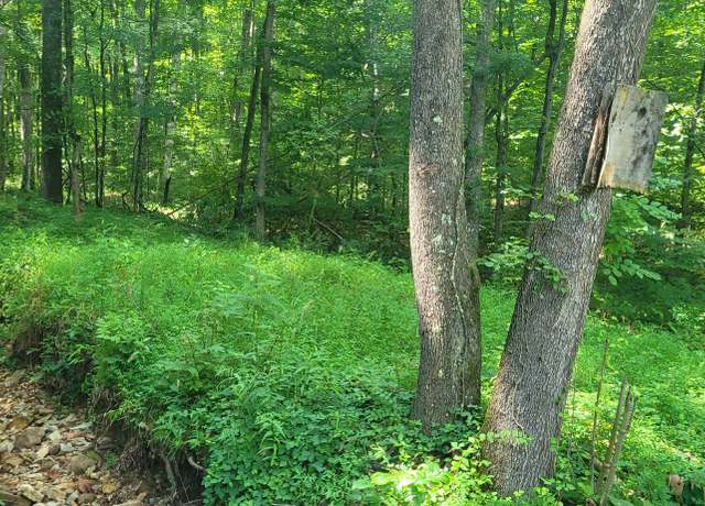Property at 1 Terripan Run Rd, Dover, TN 37058