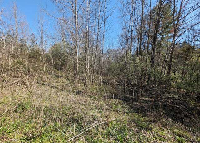 Property at 1601 Straight Fork Rd, Huntsville, TN 37756