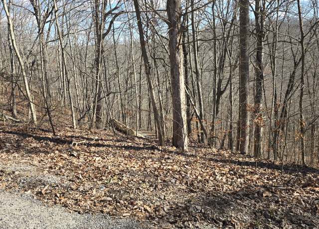 Property at 0 Lakeside Dr, Smithville, TN 37166