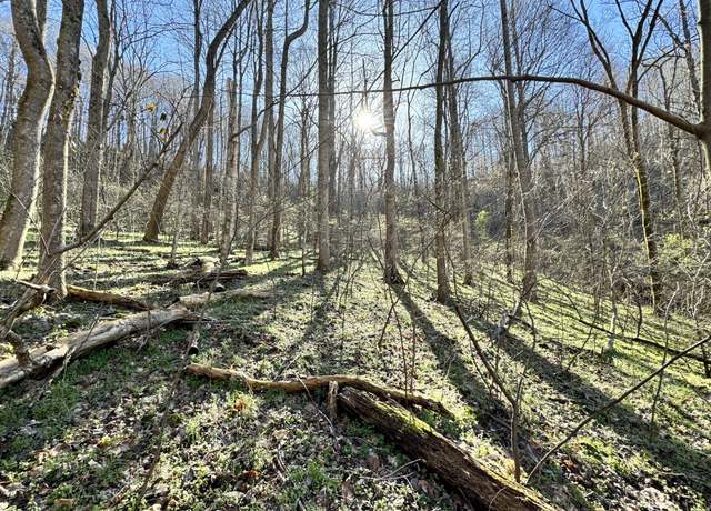Property at 0 Lake View Dr, Smithville, TN 37166