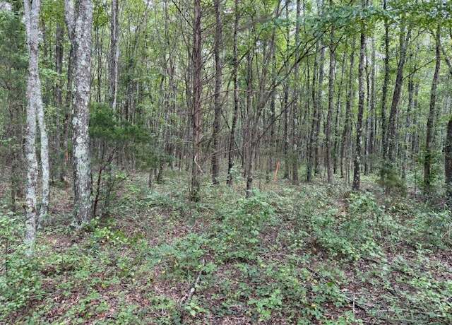 Property at 1829 Goforth Rd, Morrison, TN 37357