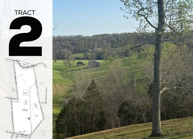 Property at 0 Love Branch Rd, Hampshire, TN 38461