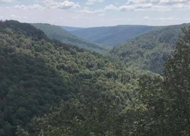 Property at 0 Johnnys Way, Tracy City, TN 37387
