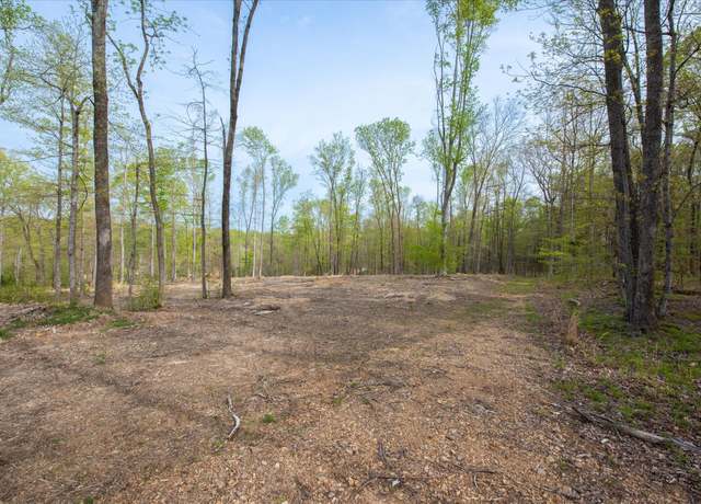 Property at 0 Norris Hollow Rd, Vanleer, TN 37181
