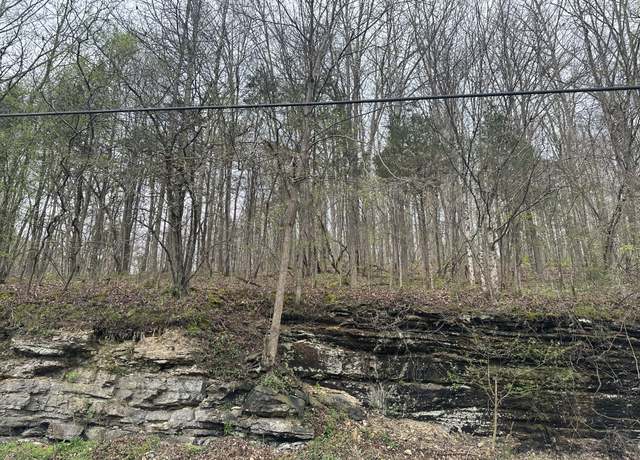 Property at 0 Hwy 49, Ashland City, TN 37015