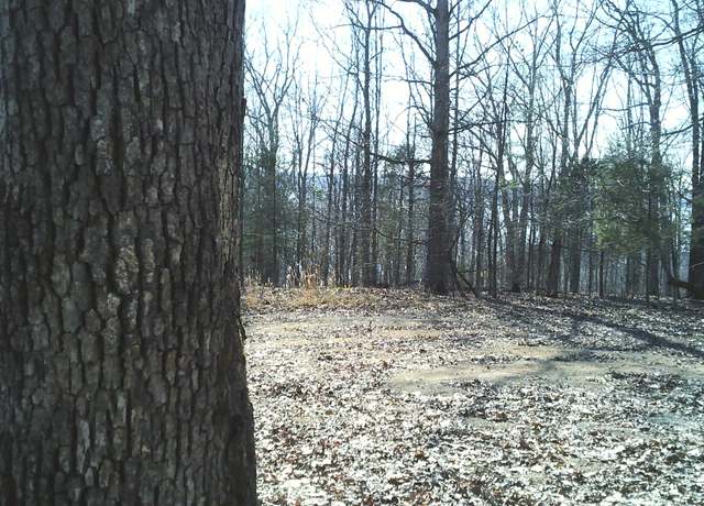 Property at 0 Eaglet Ct, Dover, TN 37058