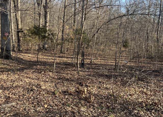 Property at 0 Bucksnort Dr, Ashland City, TN 37015