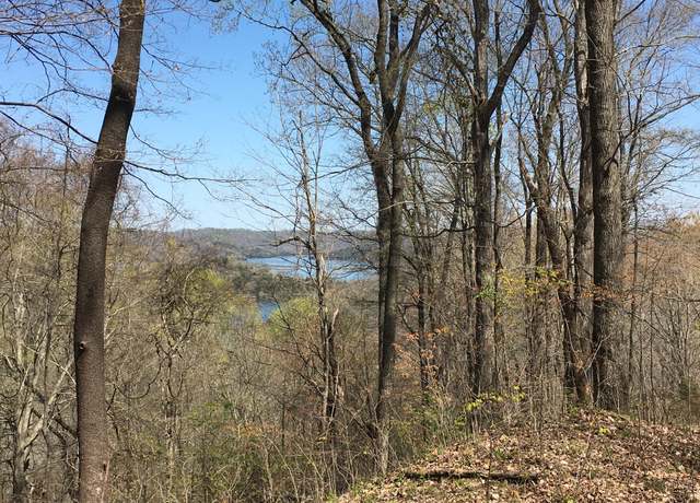 Property at 0 Rutherford Ln, Smithville, TN 37166