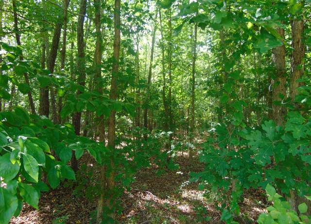 Property at 0 Pine Lake Rd, Summertown, TN 38483