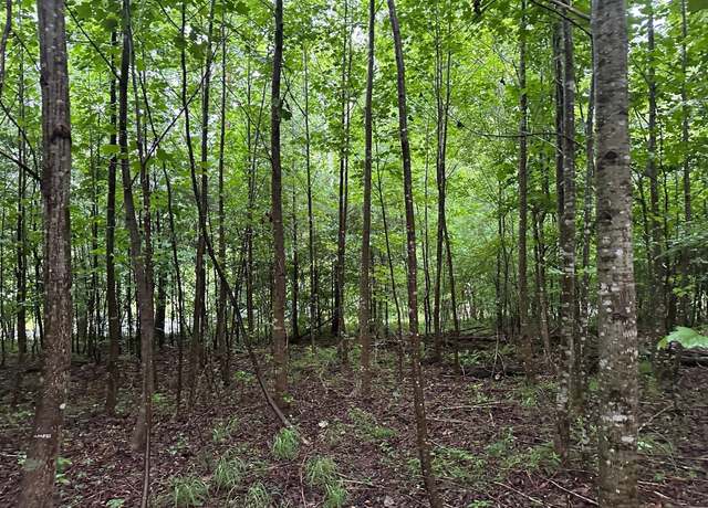 Property at 8 Saw Mill Rd, Palmer, TN 37365