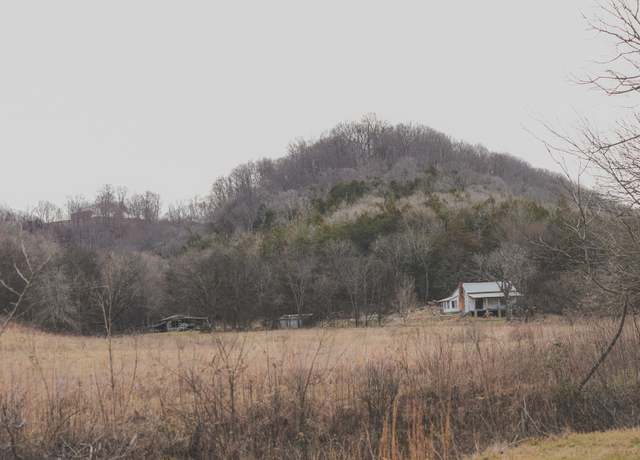 Property at 16431 Wallace Hollow Rd, Buffalo Valley, TN 38548
