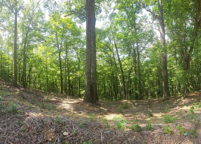 Property at 4 Savannah Dr, Smithville, TN 37166