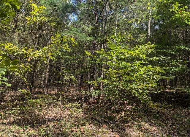 Property at 0 Meadows Rd, Cumberland Furnace, TN 37051