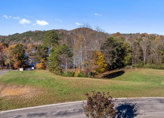 Property at 261 White Swan Dr, Vonore, TN 37885