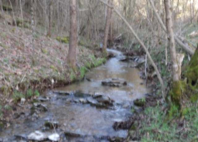 Property at 0 Sugar Creek Rd, Gainesboro, TN 38562