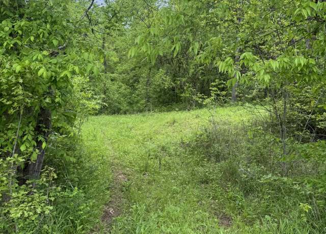 Property at 0 Panhandle Rd, Manchester, TN 37355