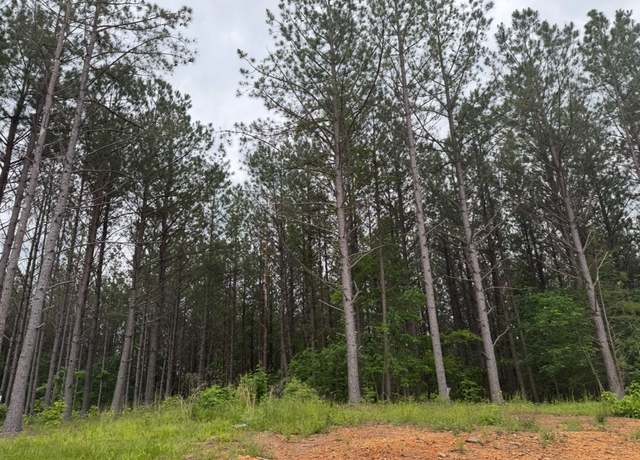 Property at 119 Auburn Dr, Hohenwald, TN 38462