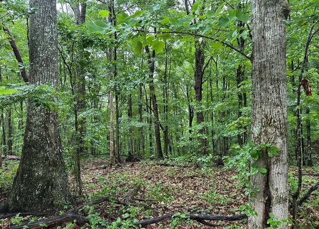 Property at 11 Mountain Top Dr, Palmer, TN 37365
