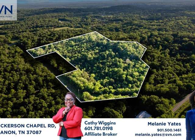 Property at 0 South Dickerson Chapel Rd, Lebanon, TN 37087