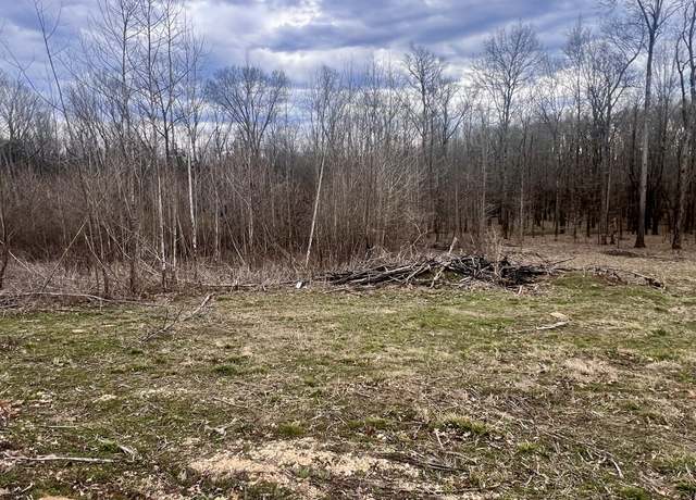 Property at 0 Tator Bug Ln, Clifton, TN 38425