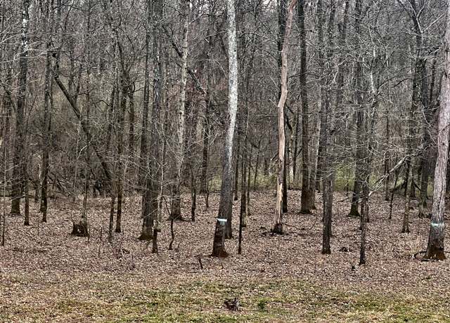 Property at 0 Tator Bug Ln, Clifton, TN 38425