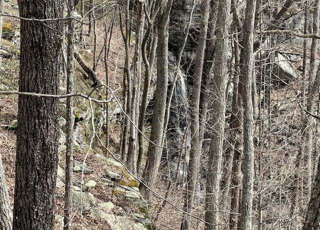 Property at 4441 Deer Run Rd, Altamont, TN 37301