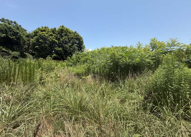 Property at 60 Lees Ford Ln, Winchester, TN 37398