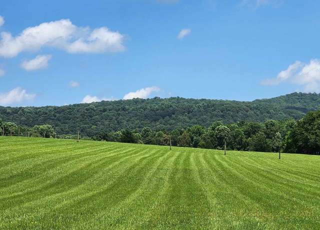 Property at 0 Chestnut Grove Rd, Morrison, TN 37357