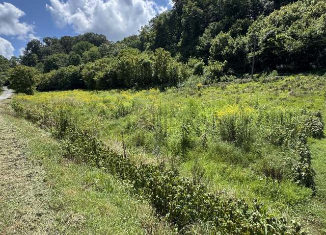 Property at 0 Sloan Br, Pleasant Shade, TN 37145