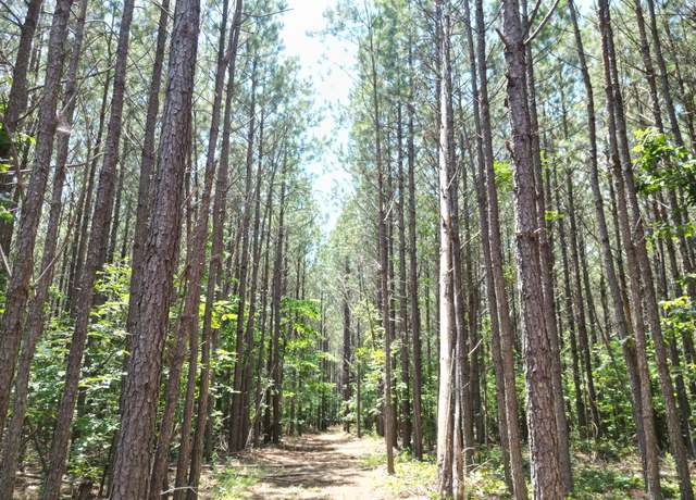 Property at 910 Seiber Ridge Rd, Hohenwald, TN 38462