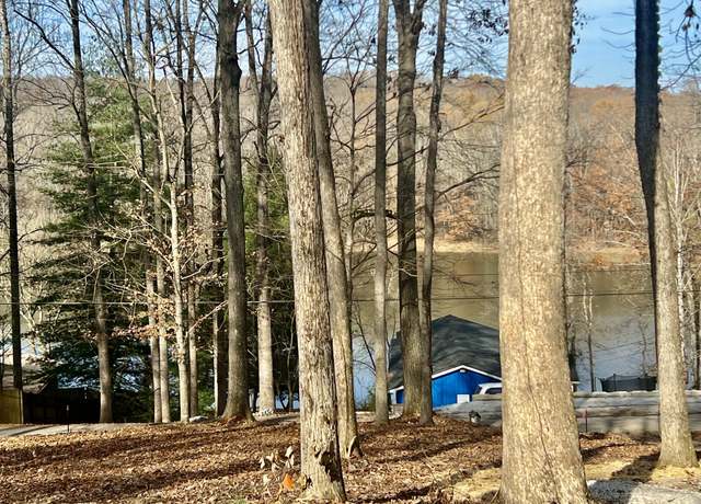 Property at 116 Hickman Shores Rd, Dover, TN 37058