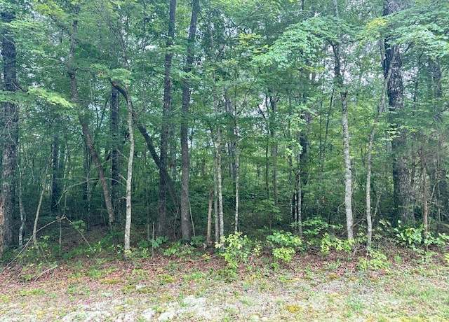 Property at 0 Cumberland Lakes Dr, Monterey, TN 38574