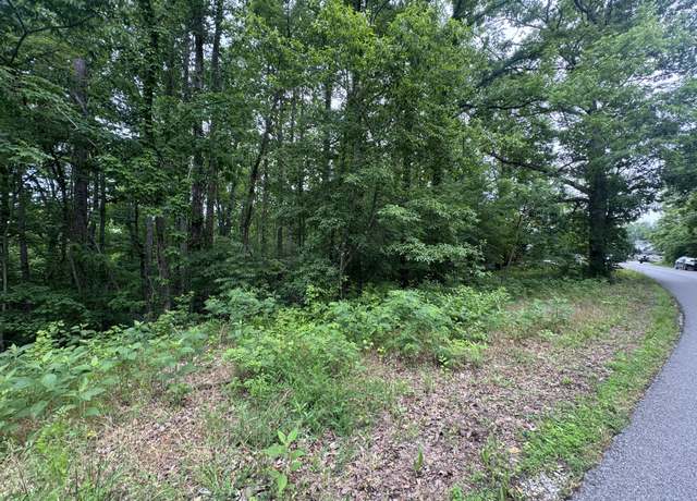 Property at 1 Coconut Rdg Rd, Smithville, TN 37166