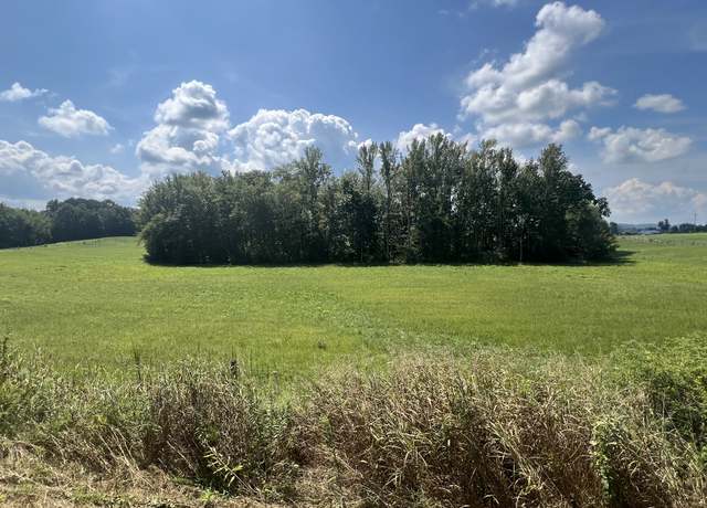 Property at 0 Gum Springs Mountain Rd, Walling, TN 38587