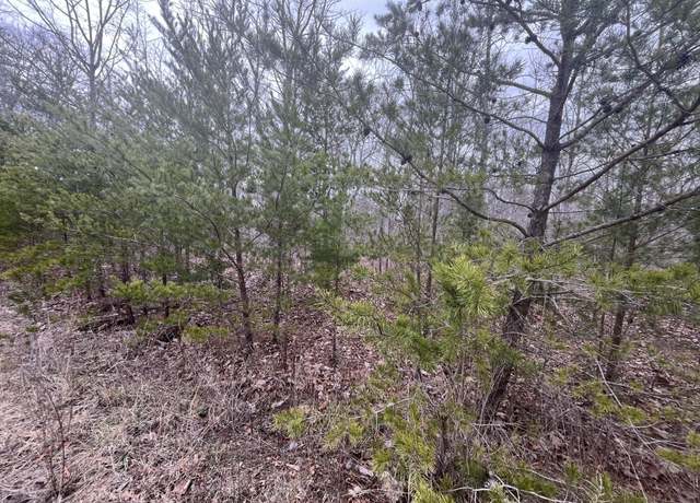 Property at 0 Maple Dr, Pikeville, TN 37367